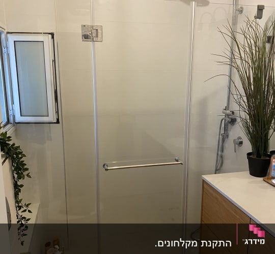 מקלחון זכוכית עם ראש מקלחת וצמחים דקורטיביים